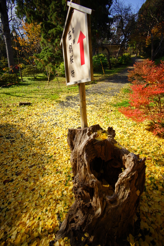 晩秋の有珠善光寺
