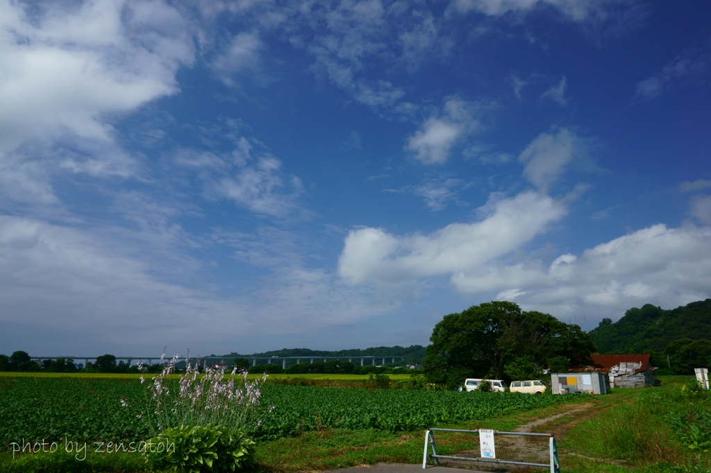 短い夏のおわり