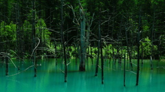 青い池