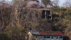 DSC07210 (1)