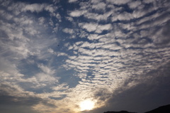 うろこ雲の夕景