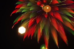 花・花火