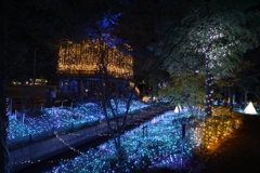 2025 アリオ倉敷 イルミネーション