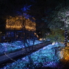 2025 アリオ倉敷 イルミネーション