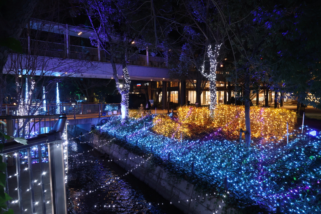 2025 アリオ倉敷 イルミネーション