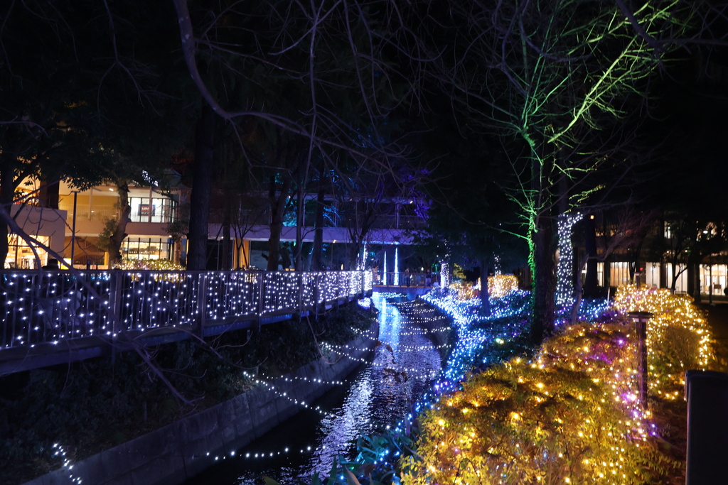 2025 アリオ倉敷 イルミネーション
