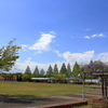 藤と青空