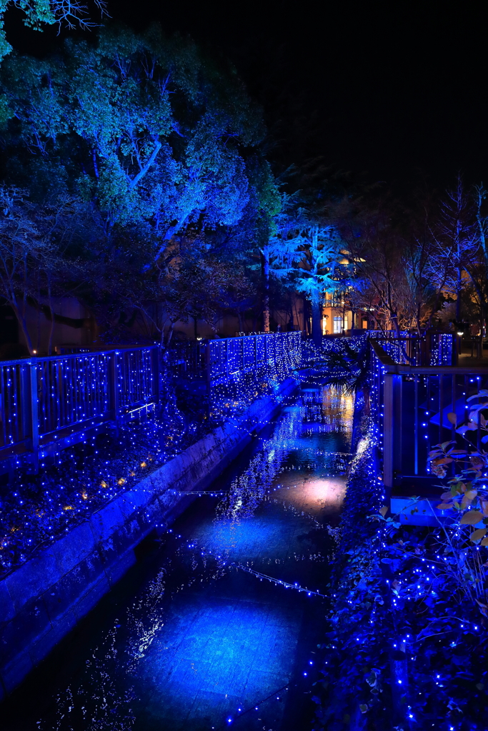 イルミネーション