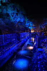 イルミネーション