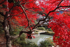 丹波篠山の紅葉1