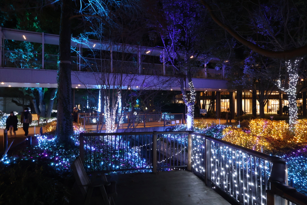 2025 アリオ倉敷 イルミネーション