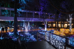 2025 アリオ倉敷 イルミネーション