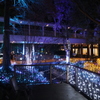 2025 アリオ倉敷 イルミネーション