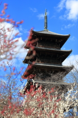 備中国分寺と紅梅