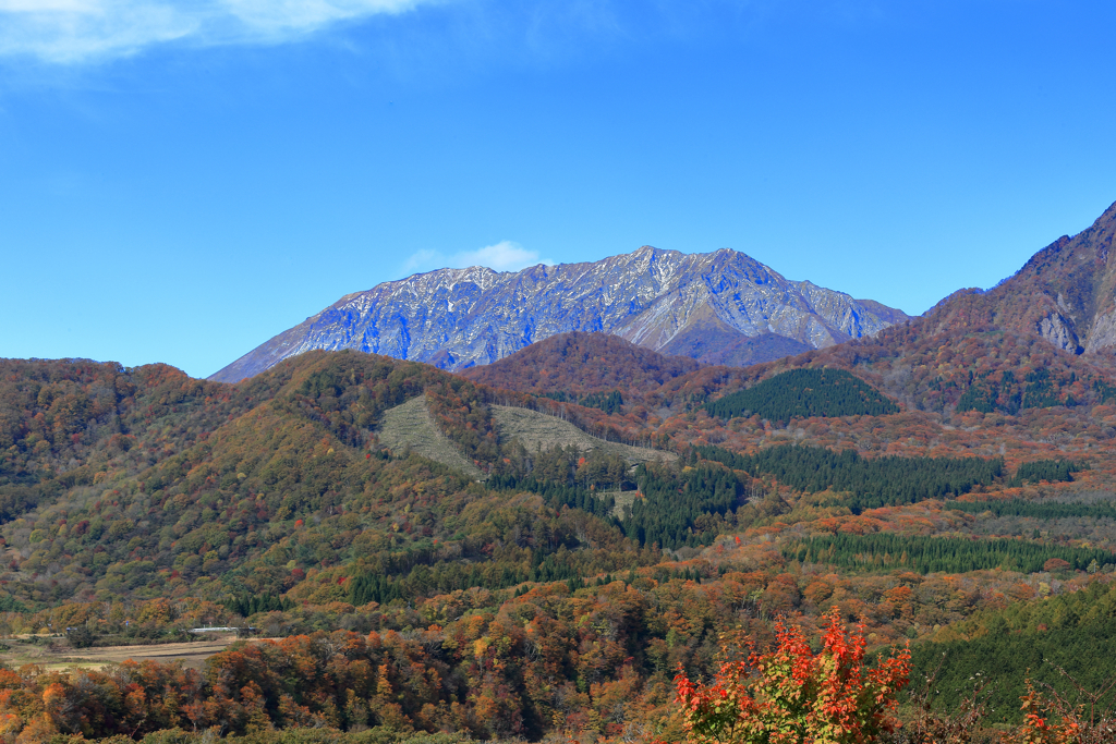 大山と紅葉