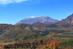 大山と紅葉