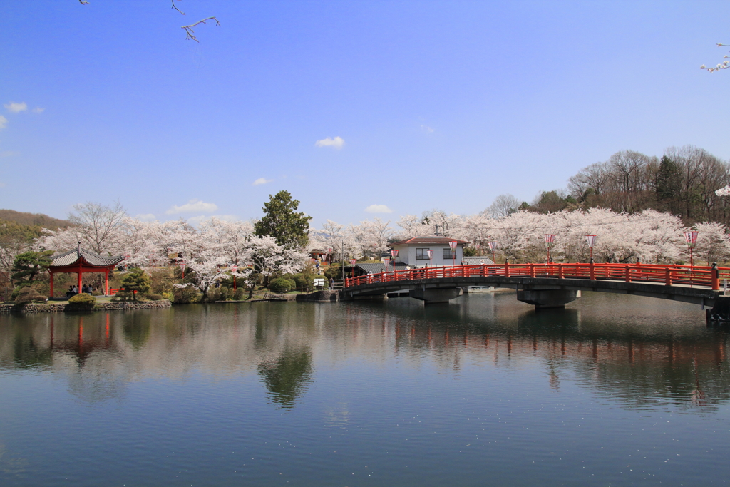 庄原上野公園-2