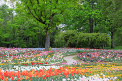 国営讃岐まんのう公園の春