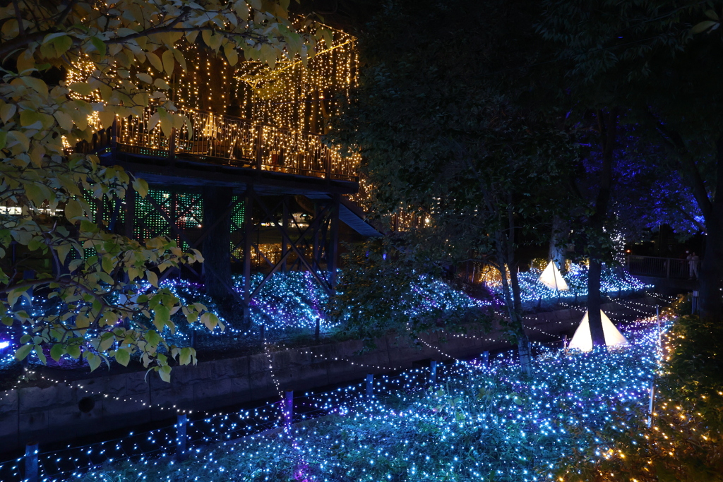 2025 アリオ倉敷 イルミネーション