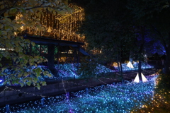 2025 アリオ倉敷 イルミネーション