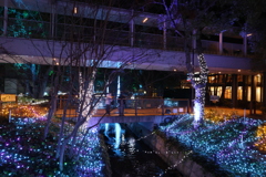 2025 アリオ倉敷 イルミネーション