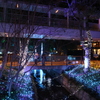 2025 アリオ倉敷 イルミネーション