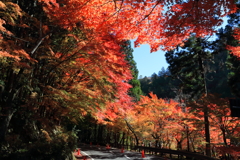 奥津渓の紅葉-2