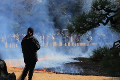 岡山後楽園の芝焼き