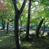 秋の景色