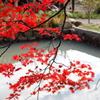 丹波篠山の紅葉5