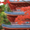 紅葉