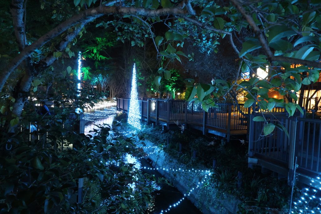 2025 アリオ倉敷 イルミネーション