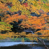 天神峡の紅葉