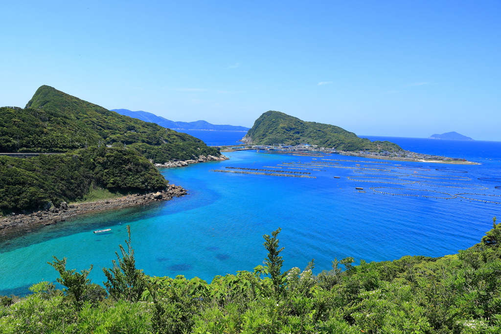 柏島