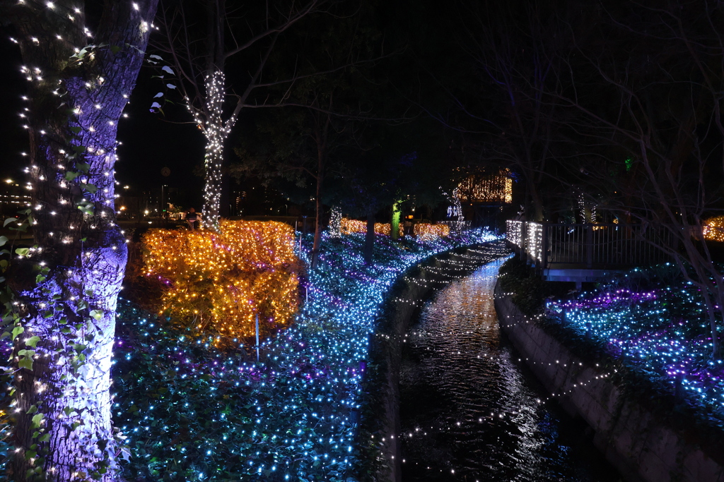 2025 アリオ倉敷 イルミネーション