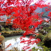 丹波篠山の紅葉6