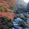 鳴滝森林公園の紅葉