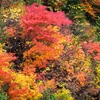 DSCF0531