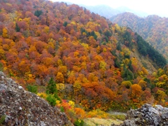 DSCF0552