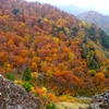 DSCF0552