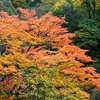 DSCF0501