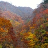 DSCF0534