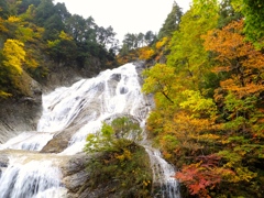 DSCF0485