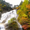 DSCF0485