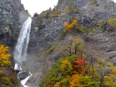 DSCF0508