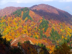 DSCF0542