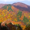 DSCF0542