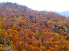 DSCF0553