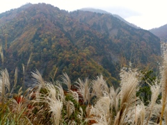 DSCF0520
