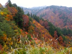 DSCF0525